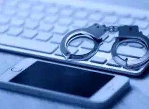 国办重磅发文！场景培育加速，两家上市公司突遭证监会立案调查