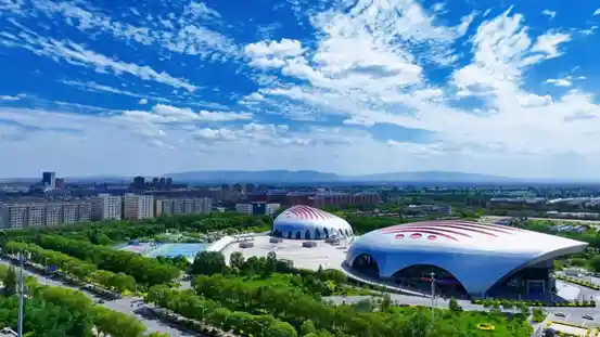 塞上江南，枸杞之乡中宁惊艳亮相《300秒看家乡》