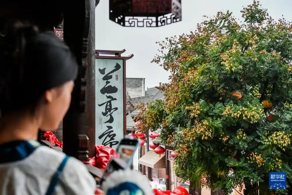 古城焕新颜:文化之旅正当时