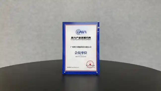 博大数据齐超揭秘：算力出海的三位一体制胜密码