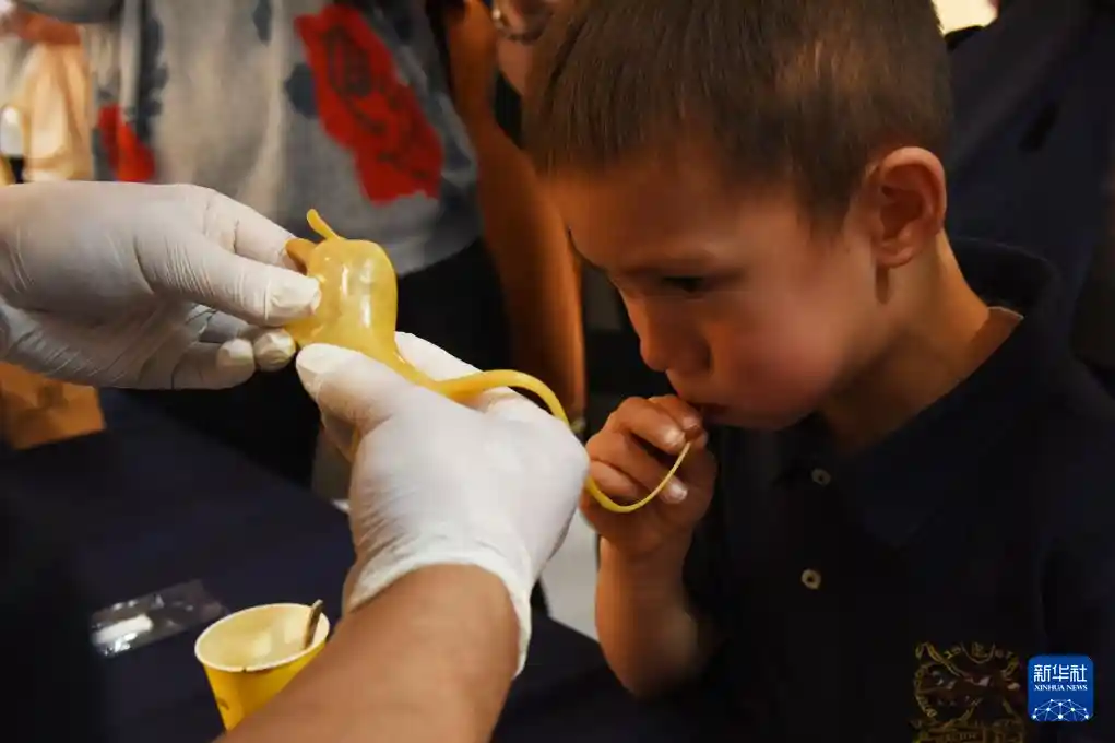 燕赵文化惊艳海牙，河北交流活动掀起中荷文化新热潮