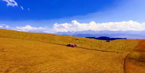 八卦城现世 喀拉峻惊艳亮相《300秒看家乡》