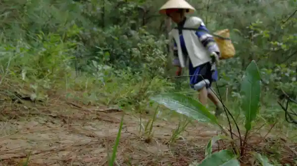 非遗新生：时光摆渡人的现代使命