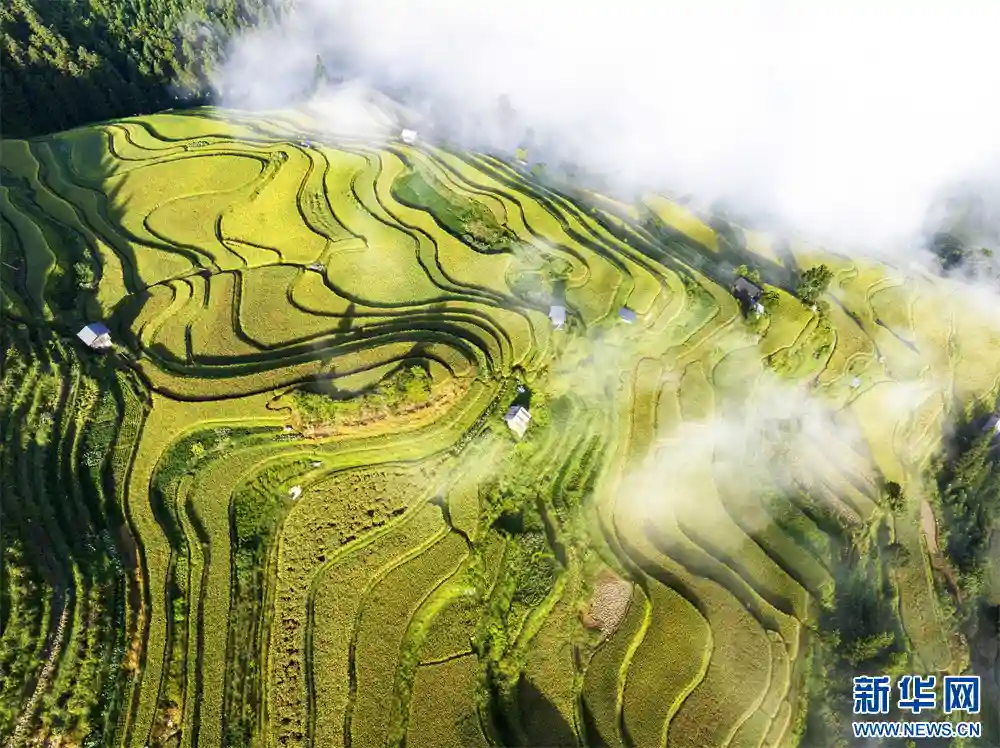 云海漫卷月亮山,贵州从江上演奇幻自然盛宴