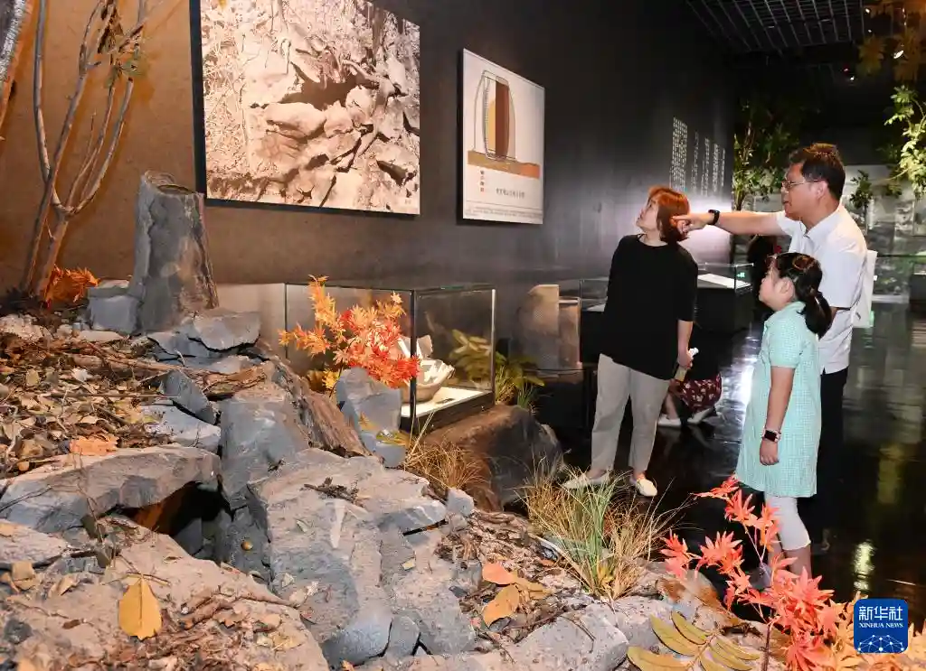 烽火印记：东北抗联文物首现京城