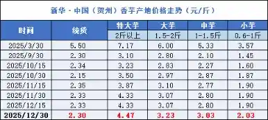 贺州香芋价格跳水！12月30日产地统货跌至2.30元/斤，半月缩水超1%