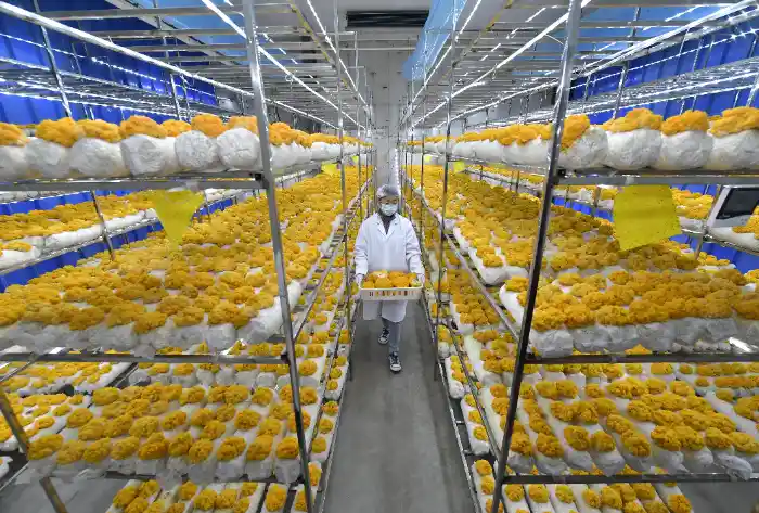 遇见张家湾，邂逅时光新篇