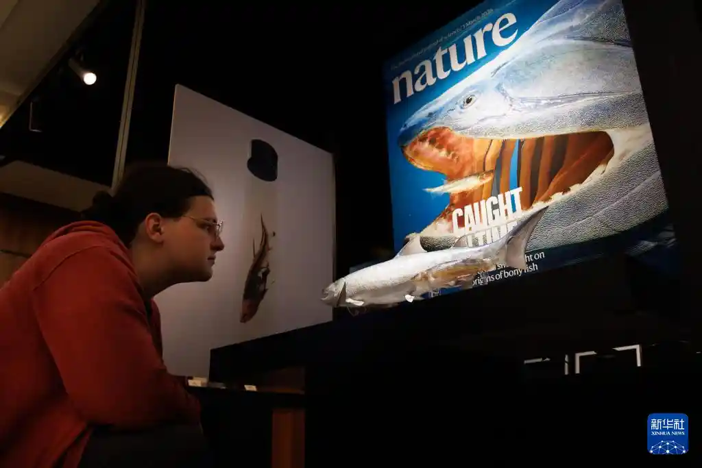 鱼跃龙门实锤！中国科学家 unearth 4.3亿年前活化石，改写脊椎动物登陆史