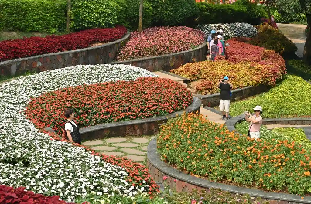 四季如春，这座城人间四月天全年绽放