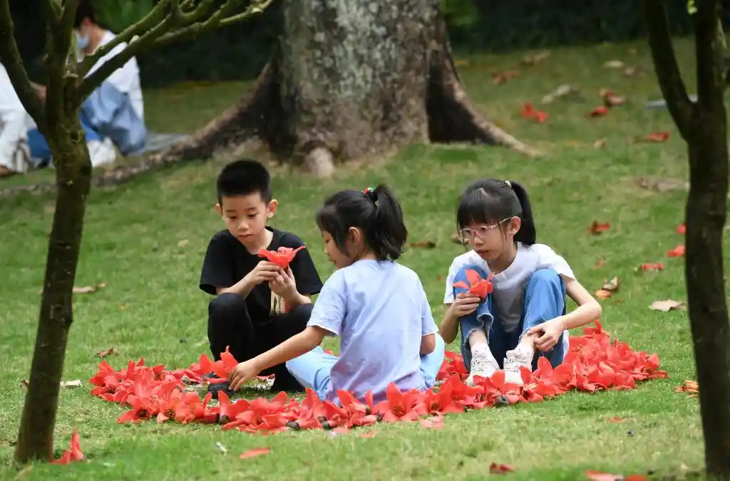 四季如春，这座城人间四月天全年绽放