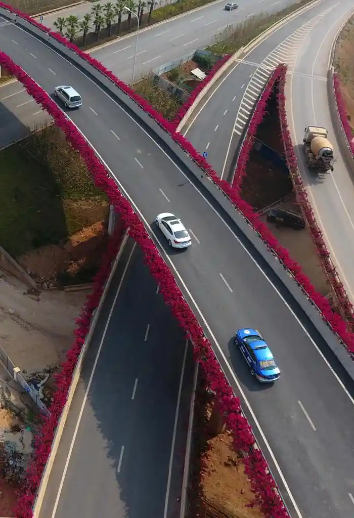 四季如春，这座城人间四月天全年绽放