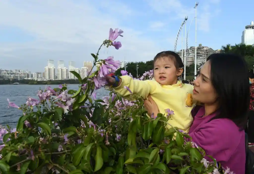 四季如春，这座城人间四月天全年绽放