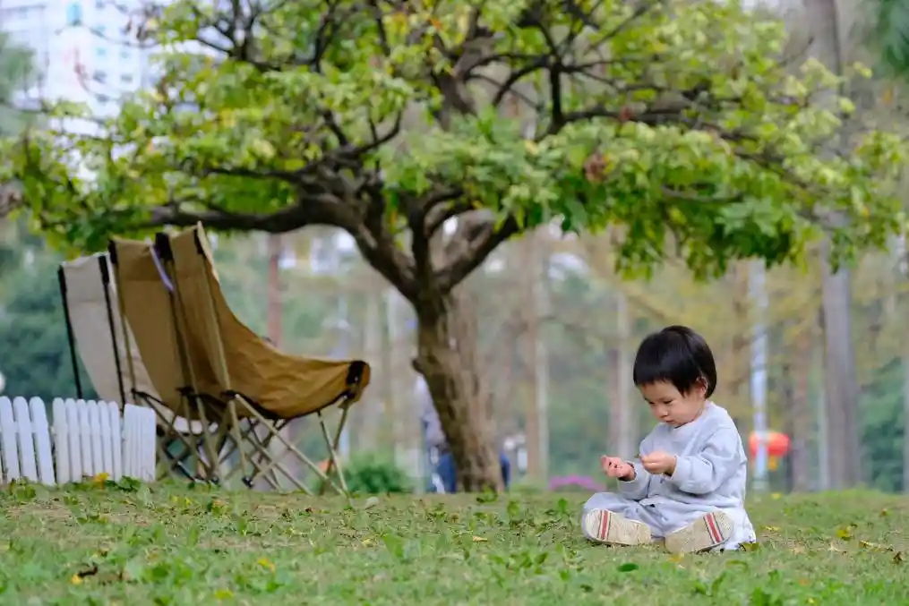 四季如春，这座城人间四月天全年绽放