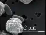 冰箱里的沉默杀手:孕妇食用隔夜菜突发猝死,专家紧急提醒这道隐形红线