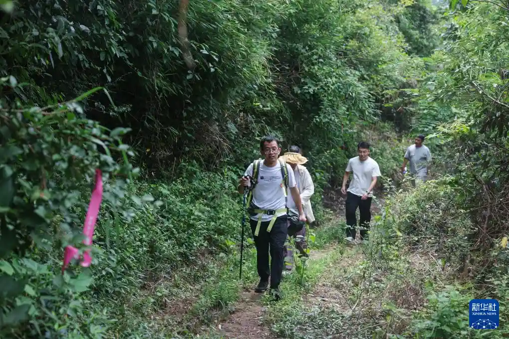 夏日徒步游点燃山乡文旅消费新引擎