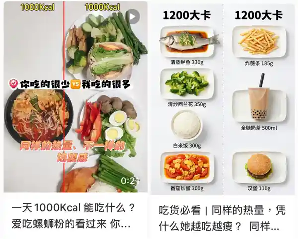 300大卡吃出两种人生:瘦与胖的真相曝光